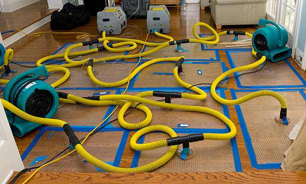 Professional Sewage Cleanup technician working in Dunellen, NJ